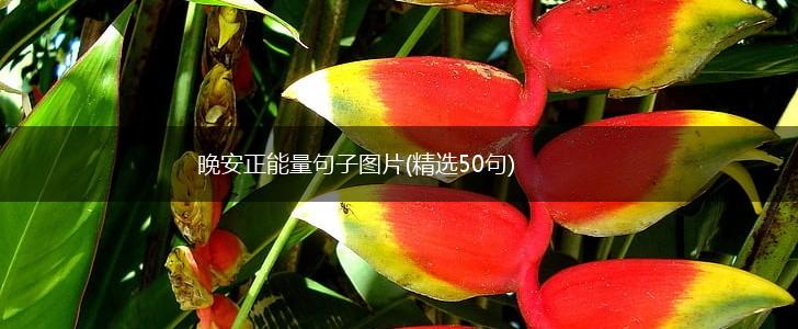 晚安正能量句子图片(精选50句),第1张