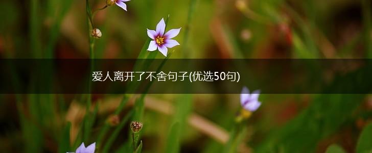 爱人离开了不舍句子(优选50句),第1张