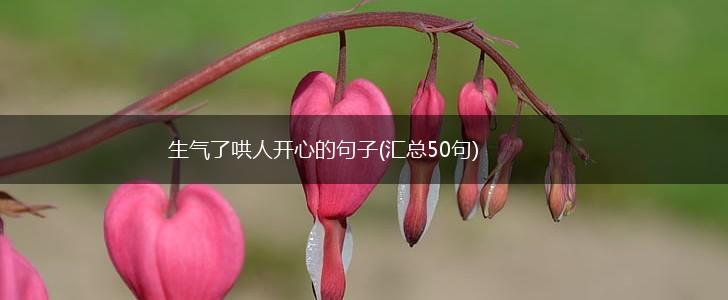 生气了哄人开心的句子(汇总50句),第1张