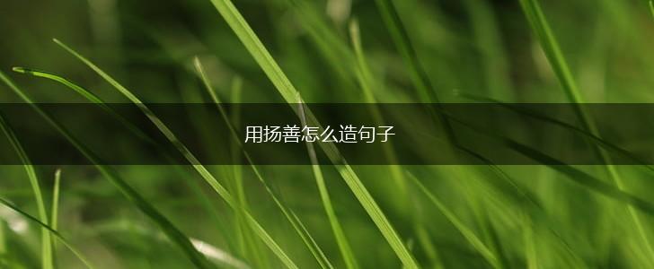 用扬善怎么造句子,第1张