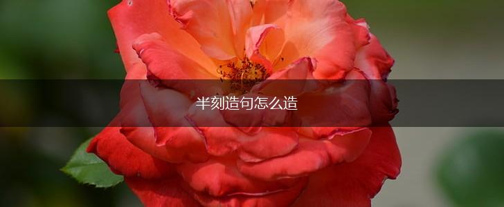 半刻造句怎么造,第1张