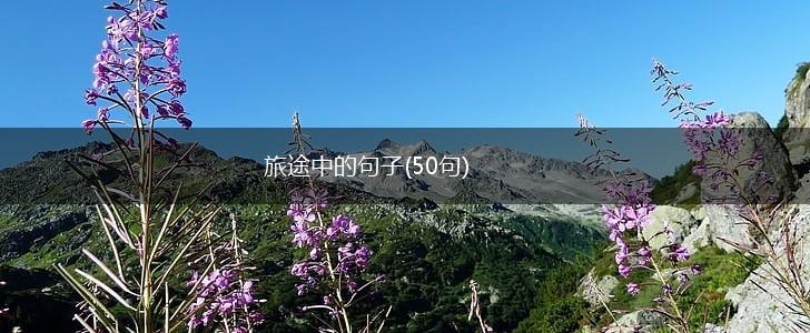 旅途中的句子(50句),第1张