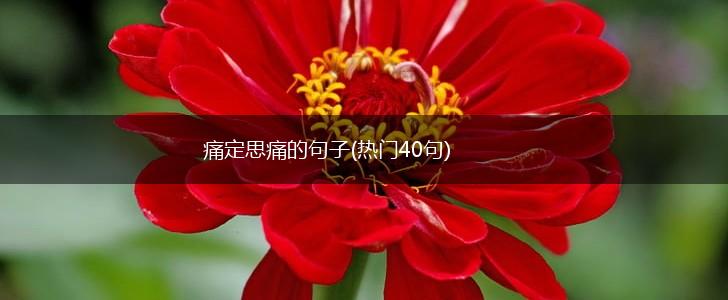 痛定思痛的句子(热门40句),第1张