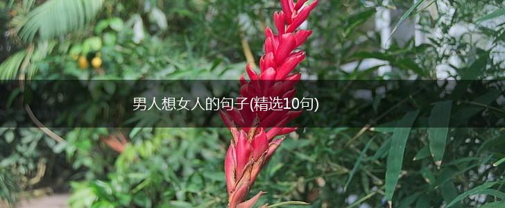 男人想女人的句子(精选10句),第1张