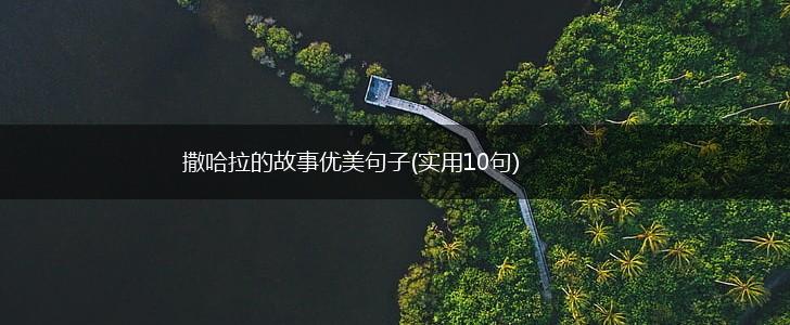 撒哈拉的故事优美句子(实用10句),第1张