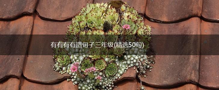 有有有有造句子三年级(精选50句),第1张