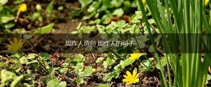 周作人造句 周作人的句子,第1张