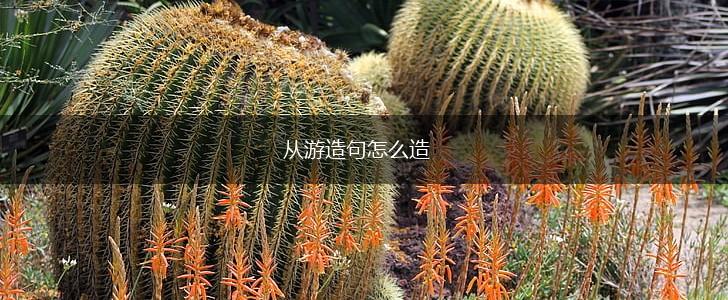 从游造句怎么造,第1张