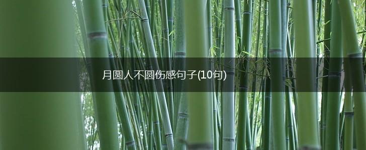 月圆人不圆伤感句子(10句),第1张