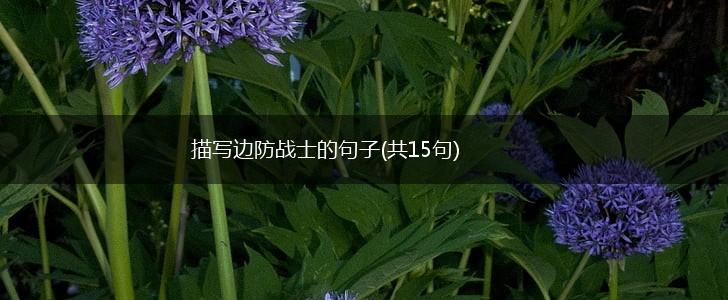 描写边防战士的句子(共15句),第1张