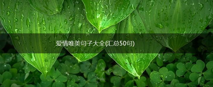 爱情唯美句子大全(汇总50句),第1张