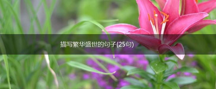 描写繁华盛世的句子(25句),第1张