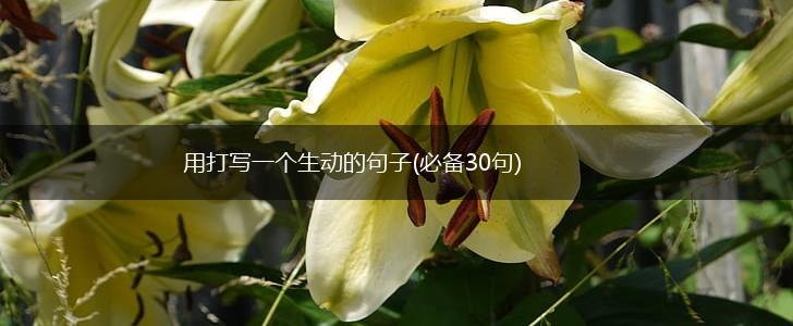 用打写一个生动的句子(必备30句),第1张