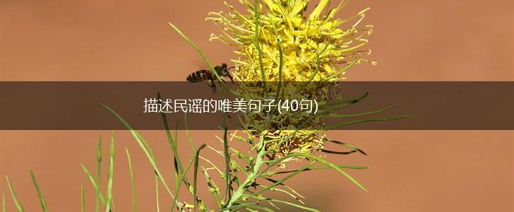 描述民谣的唯美句子(40句),第1张