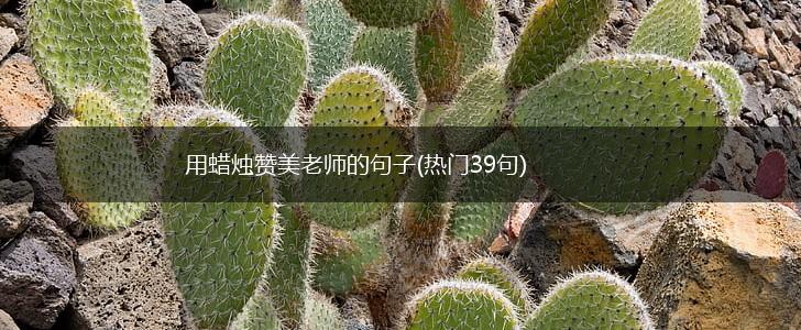 用蜡烛赞美老师的句子(热门39句),第1张