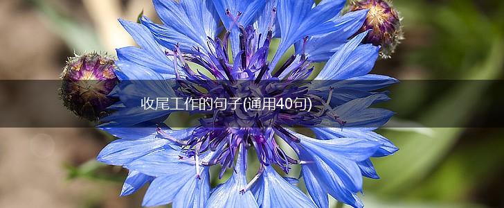 收尾工作的句子(通用40句),第1张