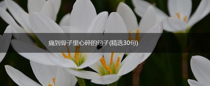 痛到骨子里心碎的句子(精选30句),第1张