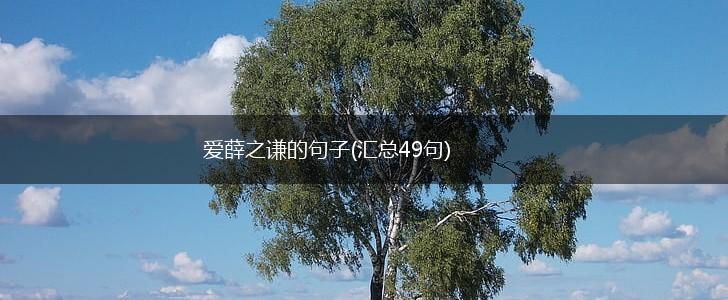 爱薛之谦的句子(汇总49句),第1张