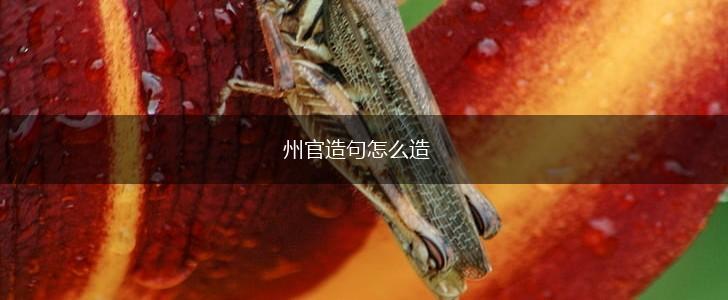 州官造句怎么造,第1张