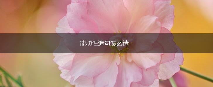 能动性造句怎么造,第1张