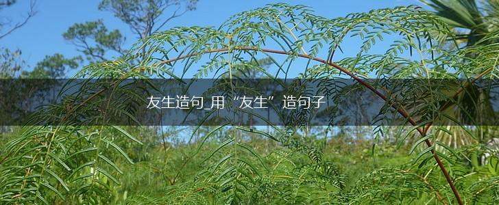 友生造句_用“友生”造句子,第1张