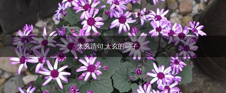 太玄造句,太玄的句子,第1张
