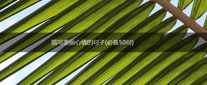 描写美丽心情的句子(必备50句),第1张