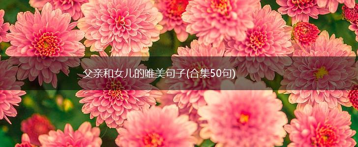 父亲和女儿的唯美句子(合集50句),第1张