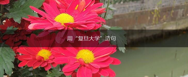 用“复旦大学”造句,第1张