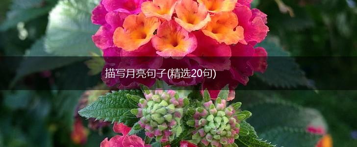 描写月亮句子(精选20句),第1张