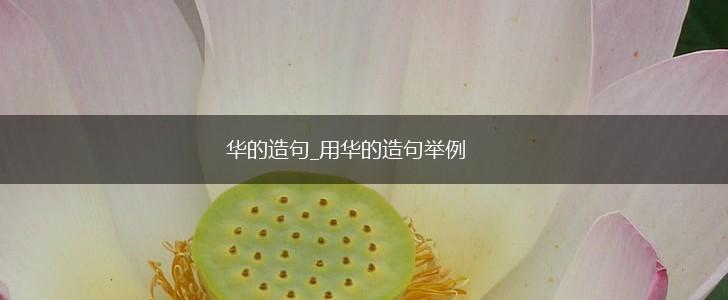 华的造句_用华的造句举例,第1张