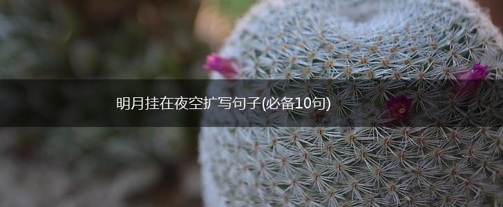 明月挂在夜空扩写句子(必备10句),第1张