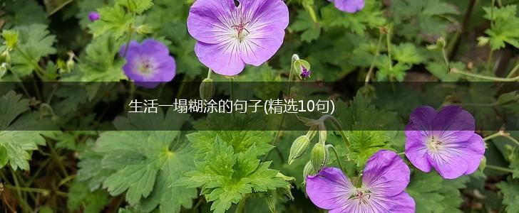 生活一塌糊涂的句子(精选10句),第1张