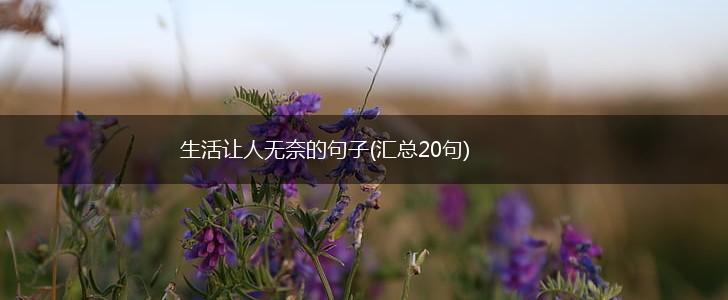 生活让人无奈的句子(汇总20句),第1张