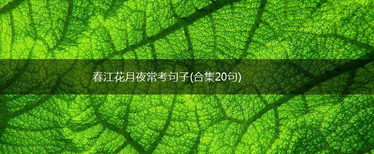 春江花月夜常考句子(合集20句),第1张