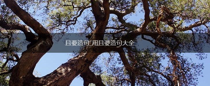 且要造句_用且要造句大全,第1张