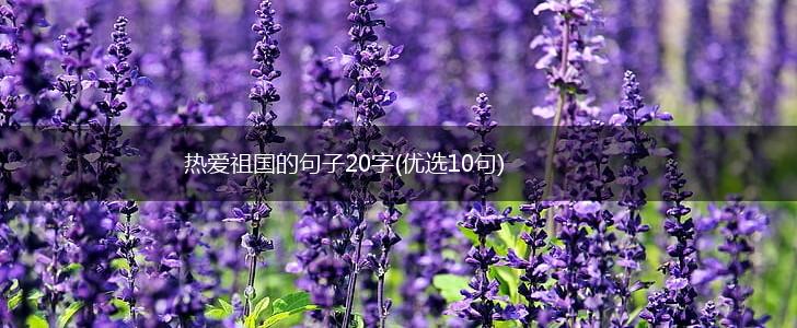 热爱祖国的句子20字(优选10句),第1张