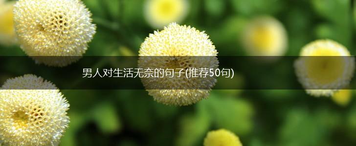 男人对生活无奈的句子(推荐50句),第1张