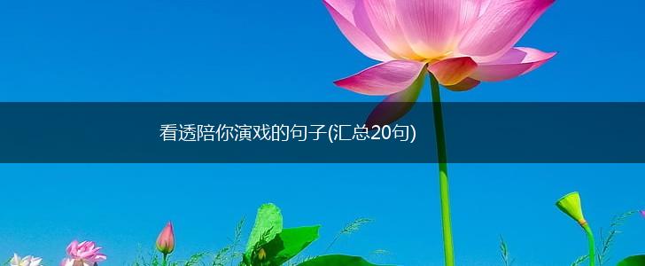 看透陪你演戏的句子(汇总20句),第1张