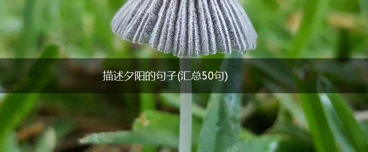 描述夕阳的句子(汇总50句),第1张