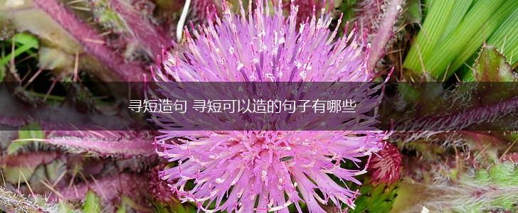寻短造句 寻短可以造的句子有哪些,第1张