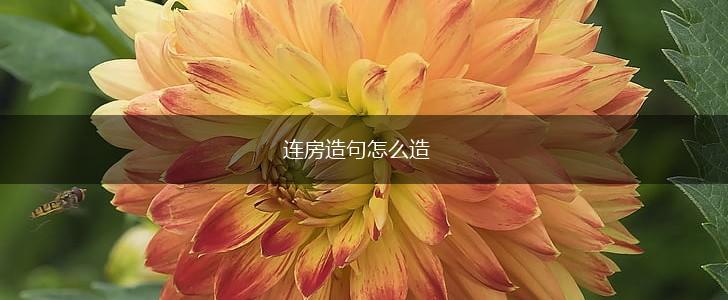 连房造句怎么造,第1张