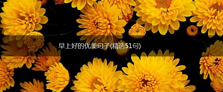 早上好的优美句子(精选51句),第1张