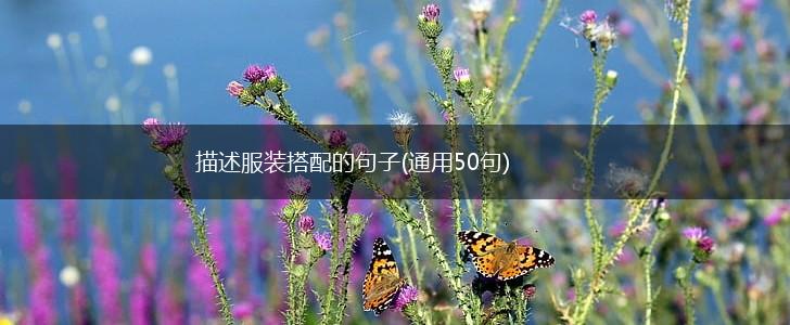 描述服装搭配的句子(通用50句),第1张