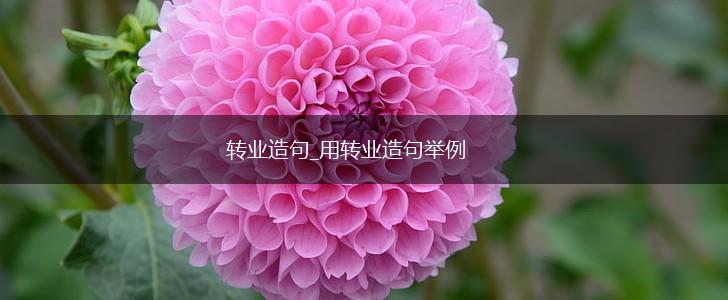 转业造句_用转业造句举例,第1张