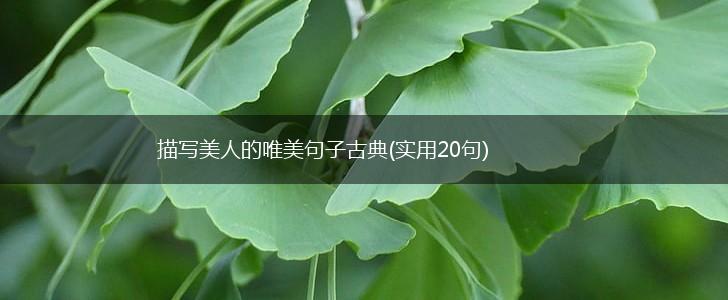 描写美人的唯美句子古典(实用20句),第1张
