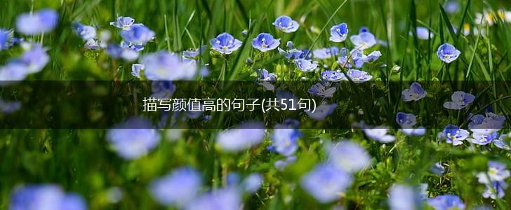 描写颜值高的句子(共51句),第1张