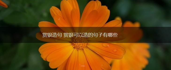 赏银造句 赏银可以造的句子有哪些,第1张