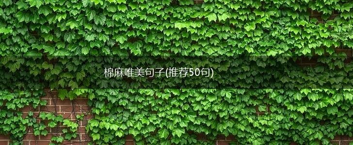 棉麻唯美句子(推荐50句),第1张