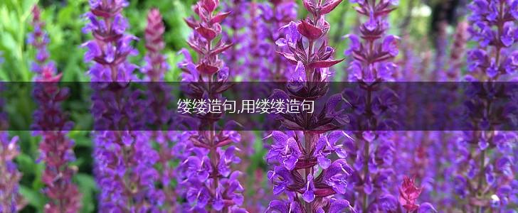 缕缕造句,用缕缕造句,第1张